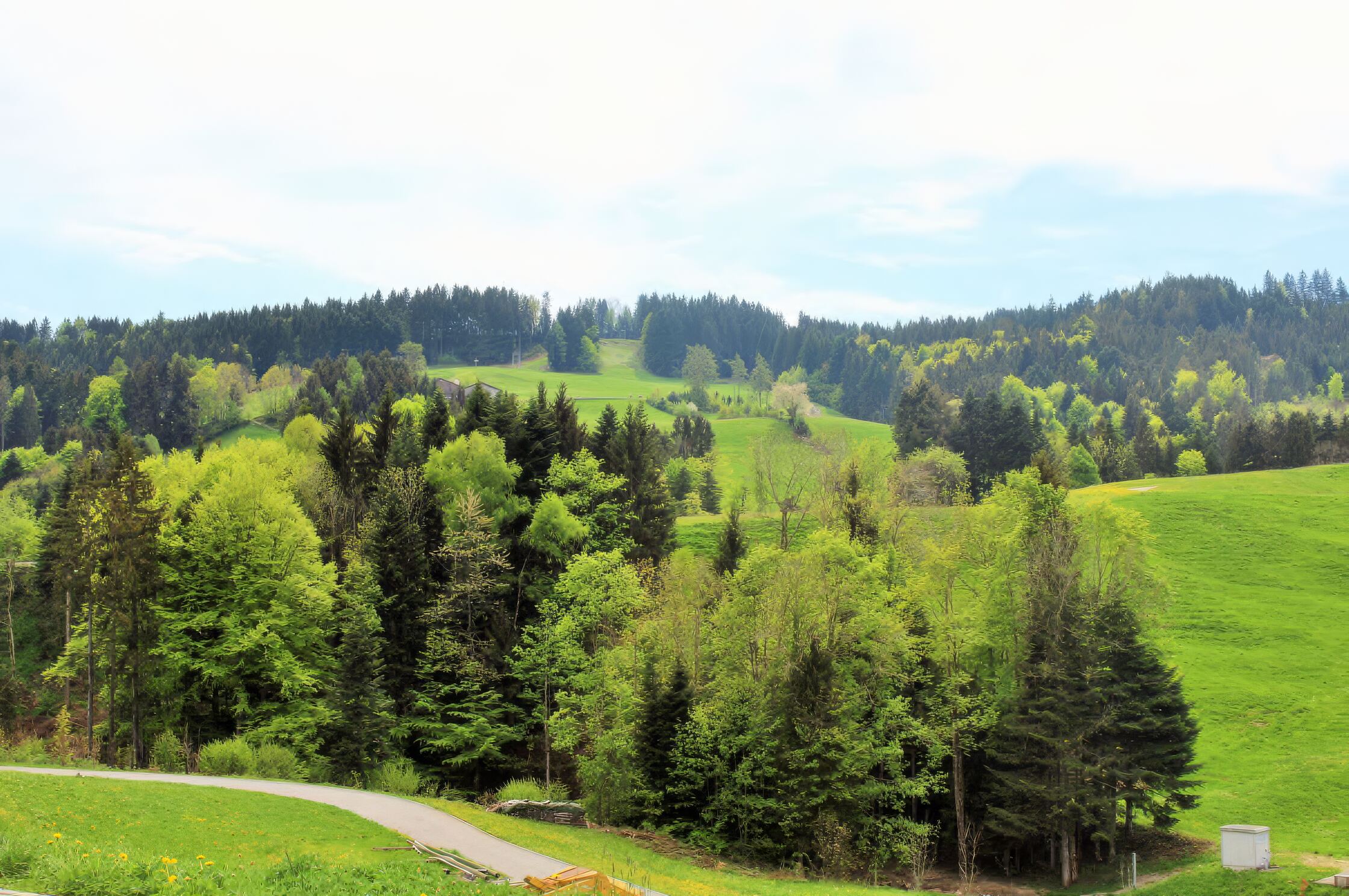 Blick von Oberegg Richtung Skilift und Hausberg St. Anton über Wiesen und Waldränder
